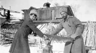 Russian Revolution Two Tsars