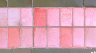 Satellite Images