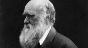 Charles Darwin Facts Portrait