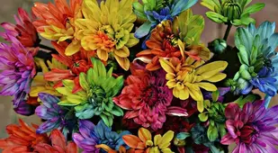 Flower Experiment