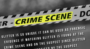 Fun Fact About Glitter