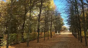 Fall Granja Street View