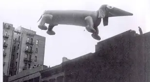 Vintage Macys Thanksgiving Day Parade Photos Dachshund