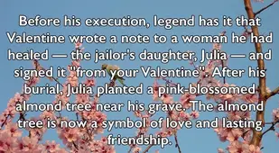 Almond Tree Legend