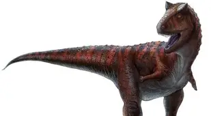 Canotaurus