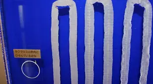 Tapeworm Museum