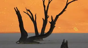 Surreal Landscapes Namibia