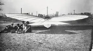 Whitehead On Ground