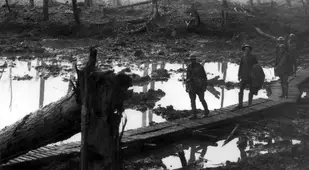 Chateau Wood Ypres Disaster