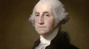 Washington Teeth
