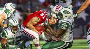 NFL Photos Hernandez
