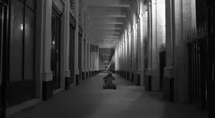 Monsters In Paris Shining