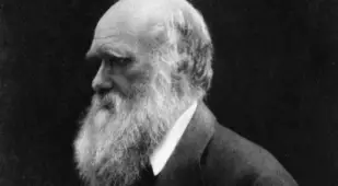 Charles Darwin Facts Portrait