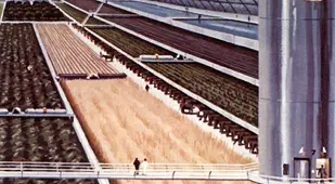 Space Colonies Stanford Torus Agriculture