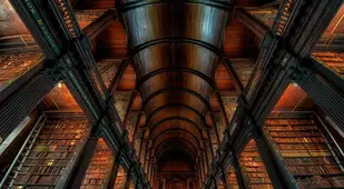 Coolest Bookstores Trinity College Ceiling