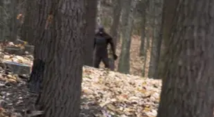 Bigfoot Hiding