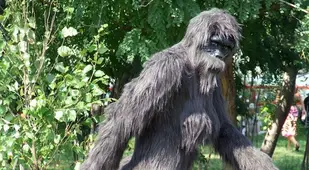 Bigfoot Stroll