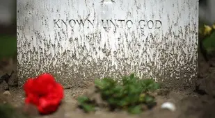 Memorial Day Quotes Flanders Fields 100 Years Since The Great War