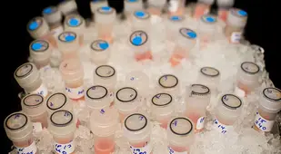 Cancer Test