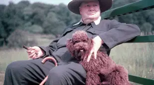 Winston Churchill With His Pet Dog