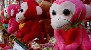 Chinese New Year Monkey