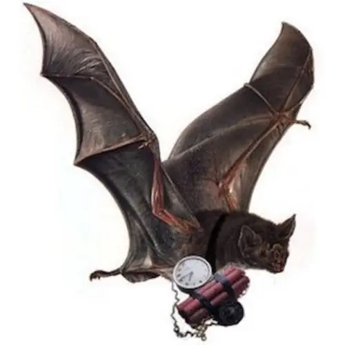 21 Of The World's Most Bizarre Weapons