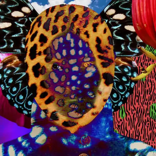 A Psychedelic Ensemble