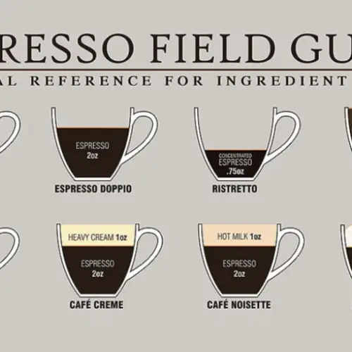 Everything You Need To Know About Coffee In One Image