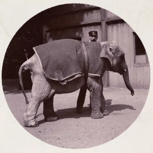 The World's First Kodak Moments
