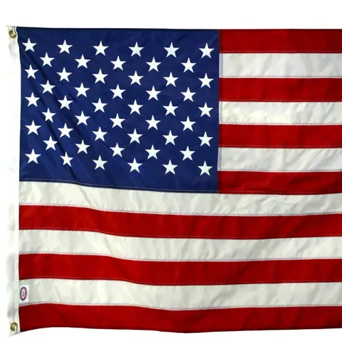 10 Interesting Things You Didn't Know About American History