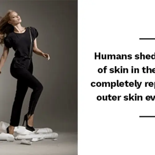 77 Amazing Facts That Will Make You The Most Interesting Person In The Room