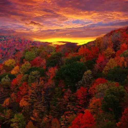 30 Colorful Fall Photos To Get You Excited For The Changing Of Seasons