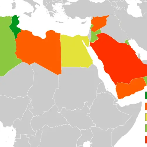Five Years After The Arab Spring, Where Are The Flowers?