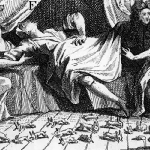 The Story Of Mary Toft, The Woman Who Gave Birth To Bunnies And Fooled All Of England