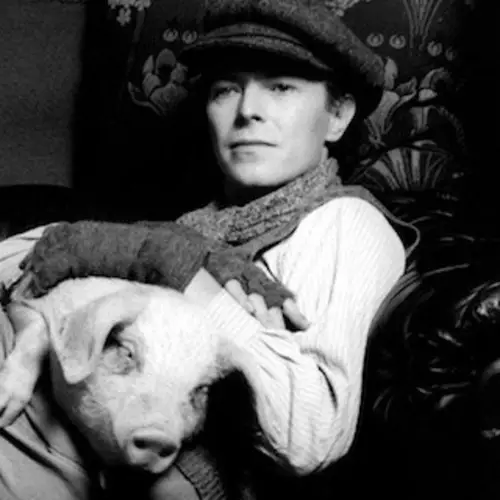 50 David Bowie Photos Even Hardcore Fans Probably Haven't Seen
