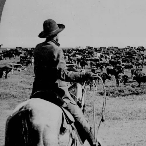 48 Snapshots Of Life In The Real Wild West