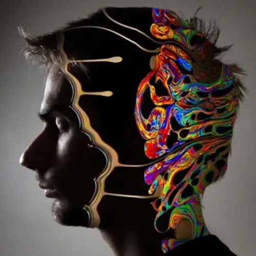 Scientists Actually Prove That Psychedelic Drugs Create An 'Elevated Level Of Consciousness'