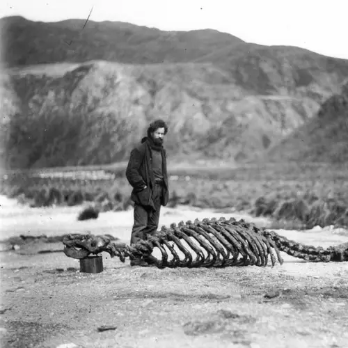 33 Vintage Photos Of Antarctica's Frozen Hellscape