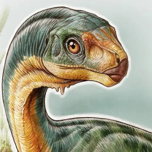 "The Most Bizarre Dinosaur Ever Found" Just Solved A Huge Evolutionary Mystery