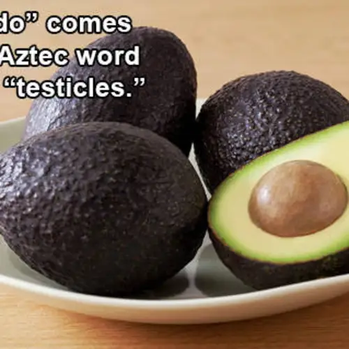 20 Interesting Words With Origins That Most People Don't Know