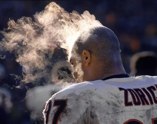 NFL Photos Zorich