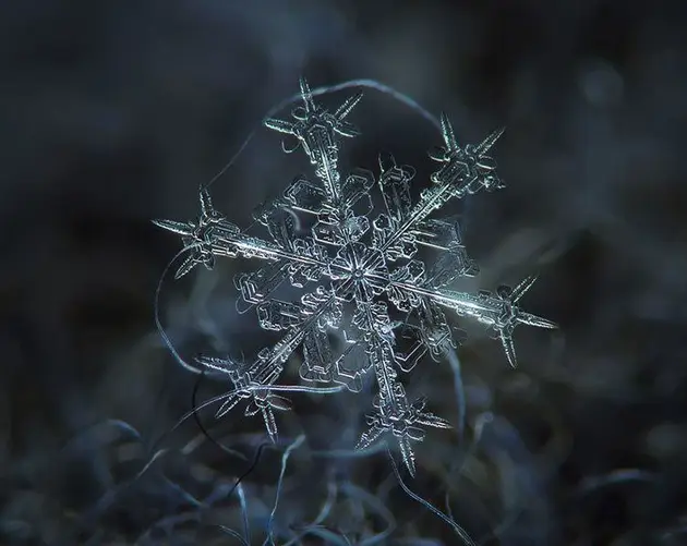 Snowflake in Detail