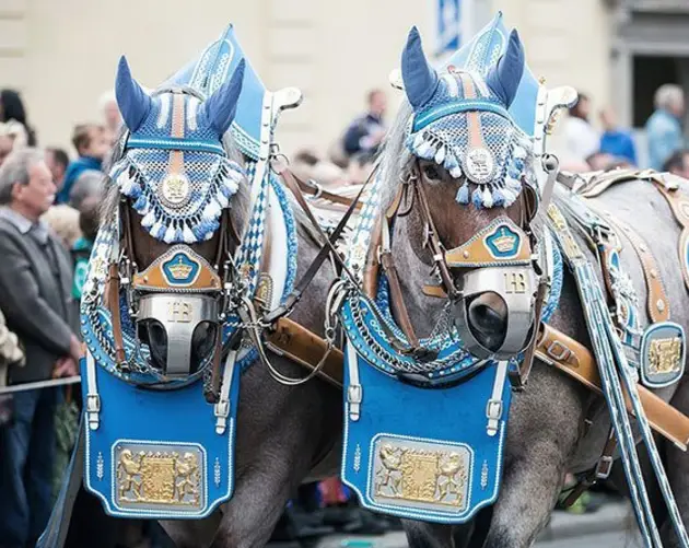 Oktoberfest Parade Horses