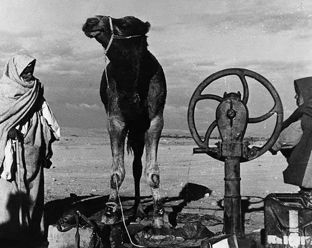 Bedouin