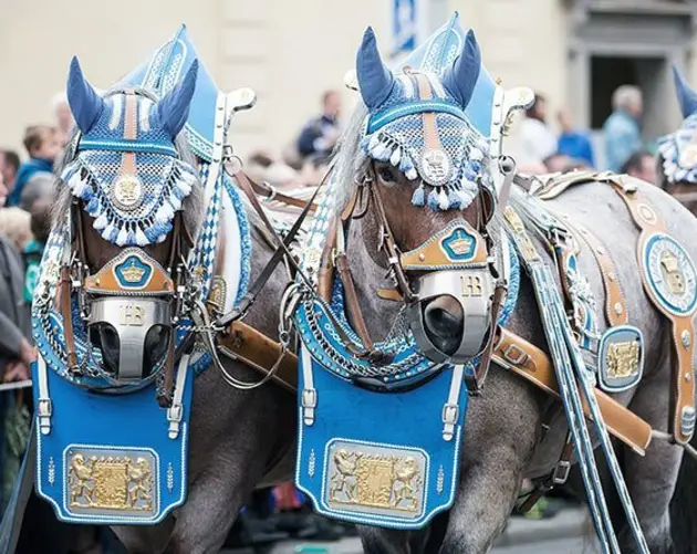 Oktoberfest Parade Horses
