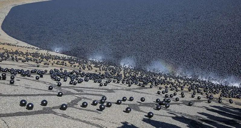 California Throws Shade (Balls) To Help Solve Its Drought