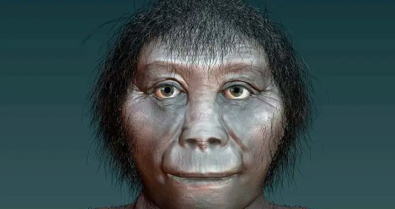 “Hobbits” May Actually Be Early Human Ancestor, New Research Shows