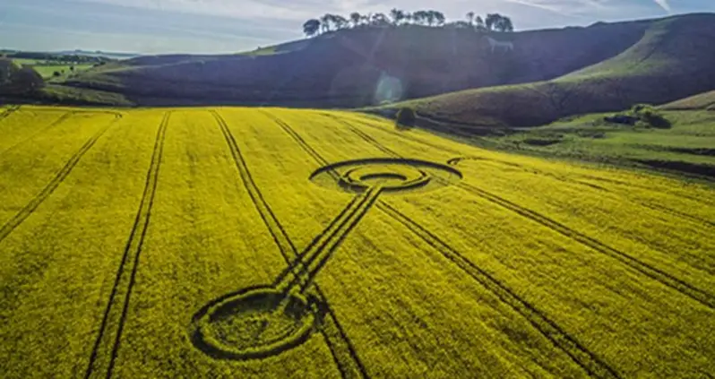 Why People Make — And Are Fascinated By — Crop Circles