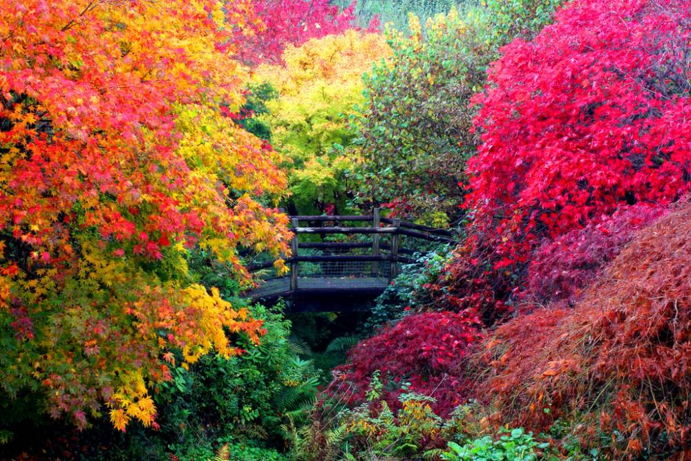 autumn-yelverton-england Autumn In England