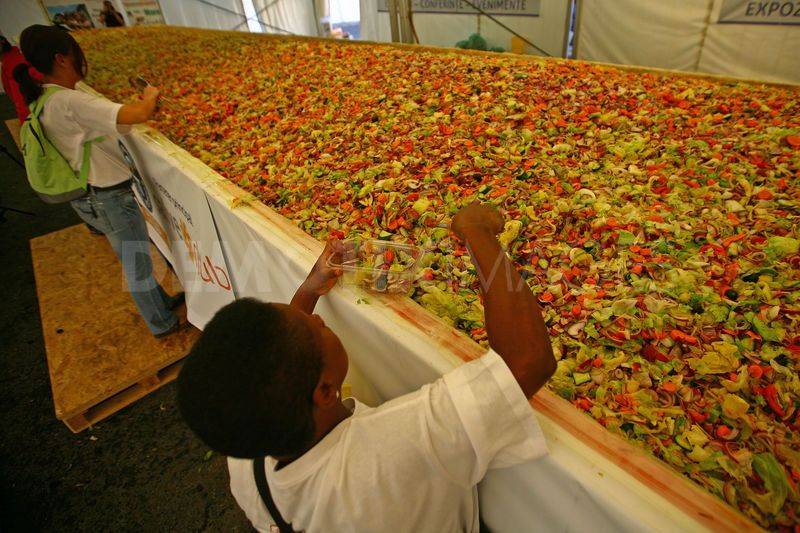 World's Largest Food Salad 2